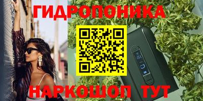 бошки Ставрополь