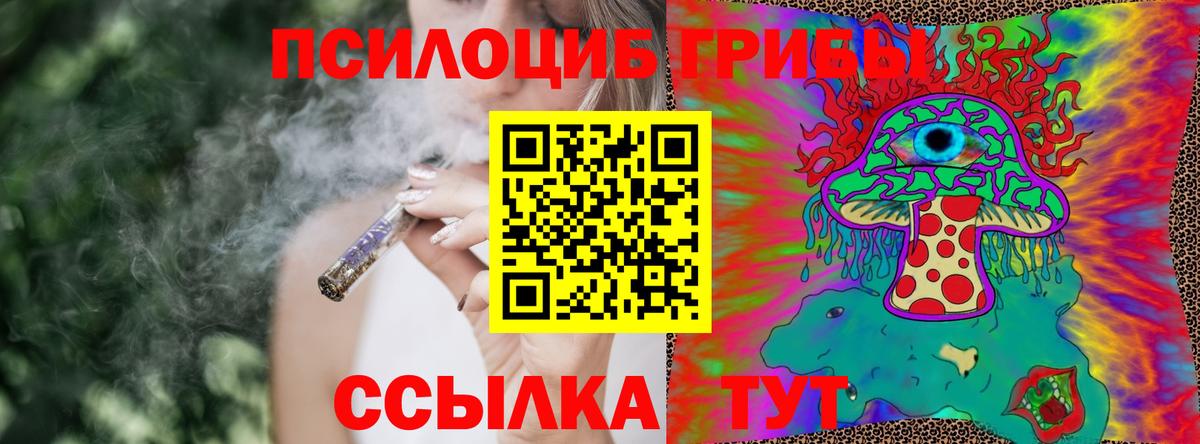 Галлюциногенные грибы мицелий Можга