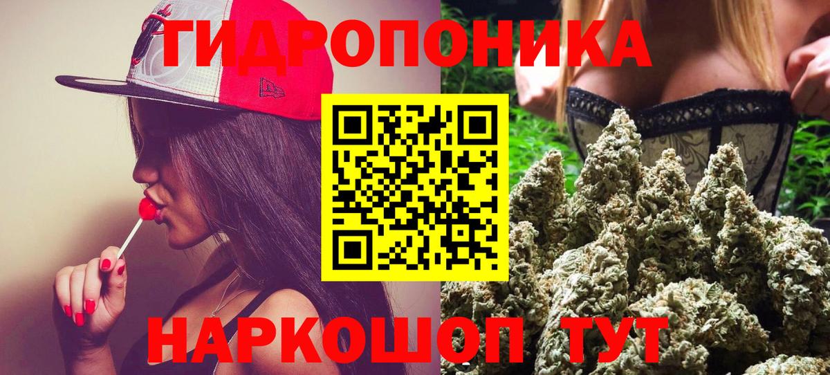 Можга  Бошки Шишки OG Kush  Марихуана планчик  Вход с VPN  Каннабис Ganja 